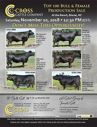 C-Cross Cattle Company. High quality Gelbvieh, Angus and Balancer ...